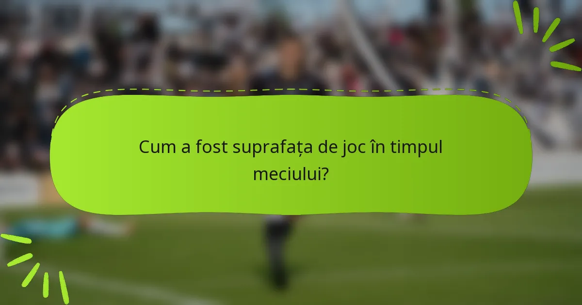 Cum a fost suprafața de joc în timpul meciului?