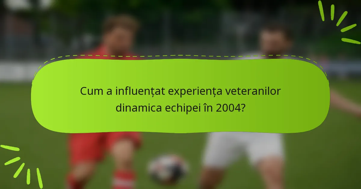 Cum a influențat experiența veteranilor dinamica echipei în 2004?
