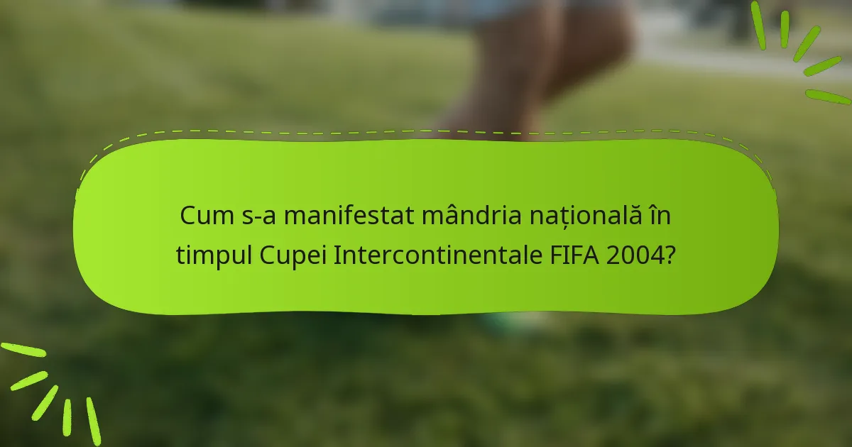 Cum s-a manifestat mândria națională în timpul Cupei Intercontinentale FIFA 2004?